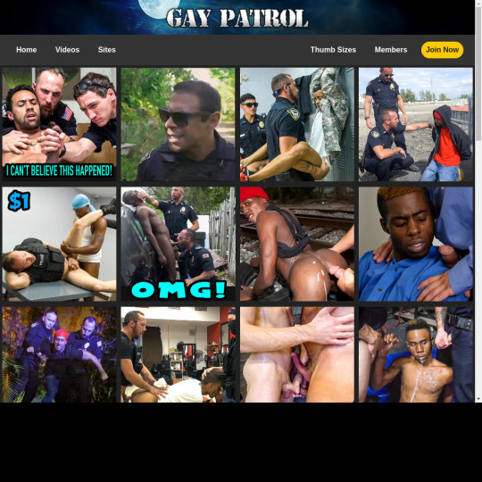 gay patrol