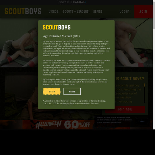 scout boys